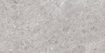 Silk Emperador Grey Matt 600x600