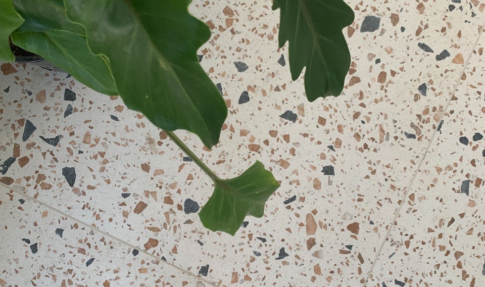 Seamless Flow with Terrazzo